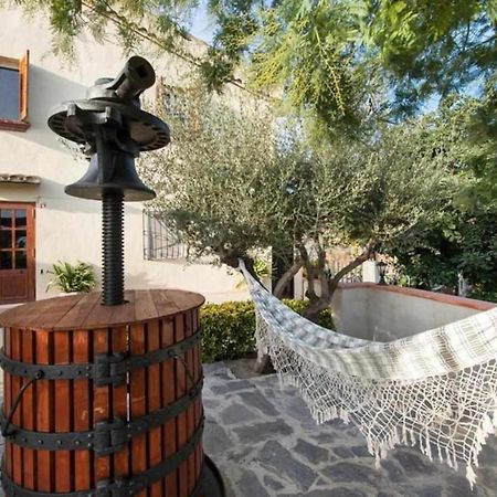 Masía Can Tramontana Casa de hóspedes Tiana Exterior foto