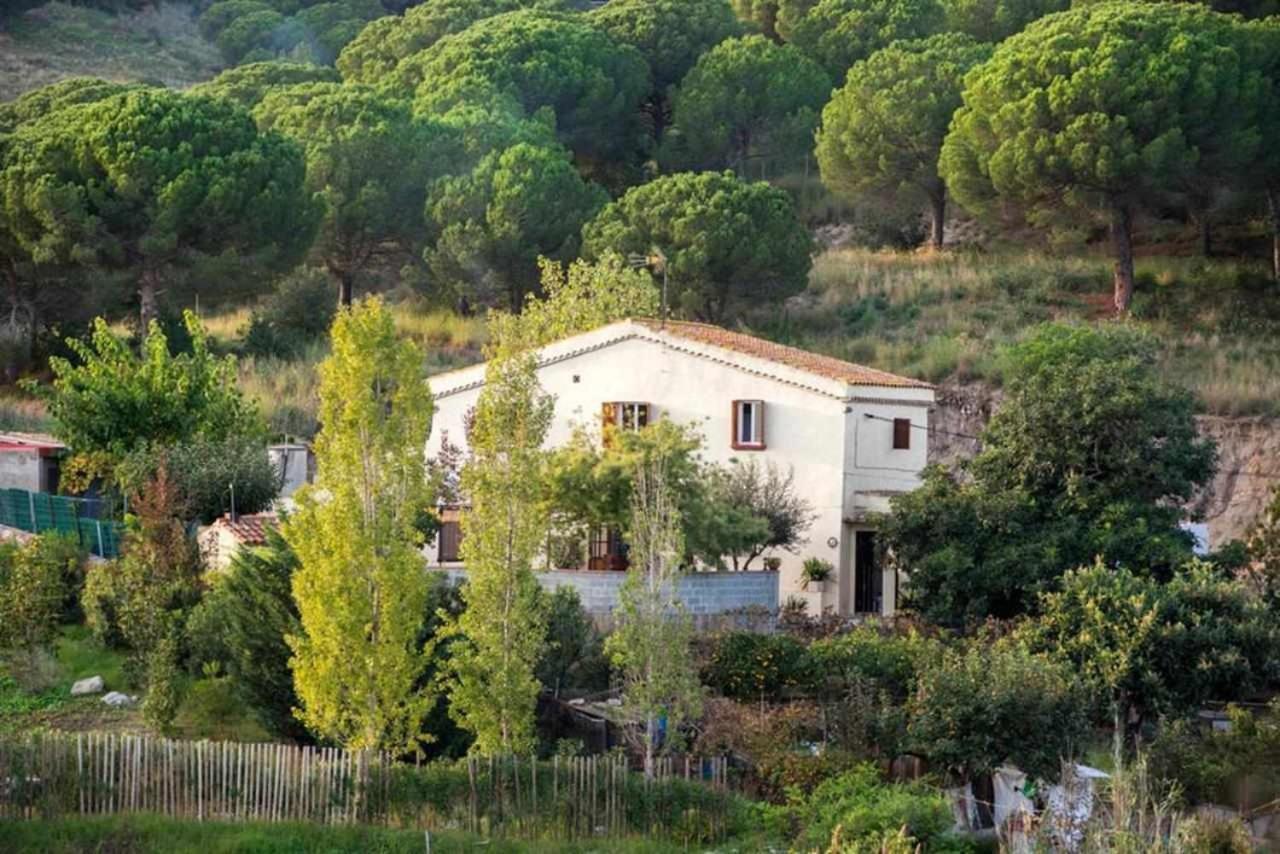 Masía Can Tramontana Casa de hóspedes Tiana Exterior foto